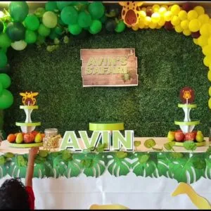 Safari themed Party/Jungle Safari Birthday Theme