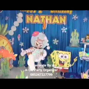 spongebob birthday themes
