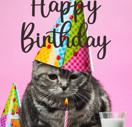 Birthday Wishes for Cat Lovers