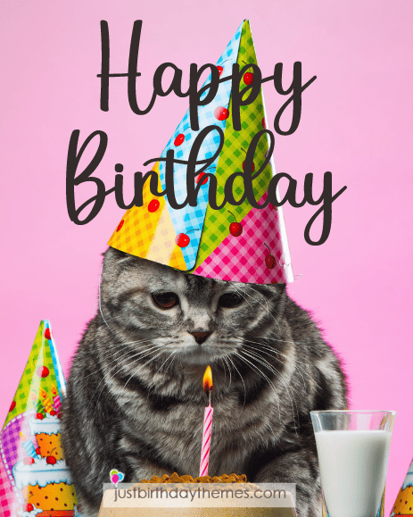 96 Birthday Wishes For Cat Lovers: Purr-fect Messages You'll Adore